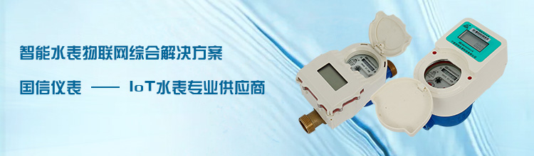 國(guó)信儀表(biao)-IOT水表專(zhuan)業供應(yīng)商