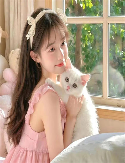 排球少年 第三季制作内幕：的技术突破与创新之处 感受艺术创作的无限可能